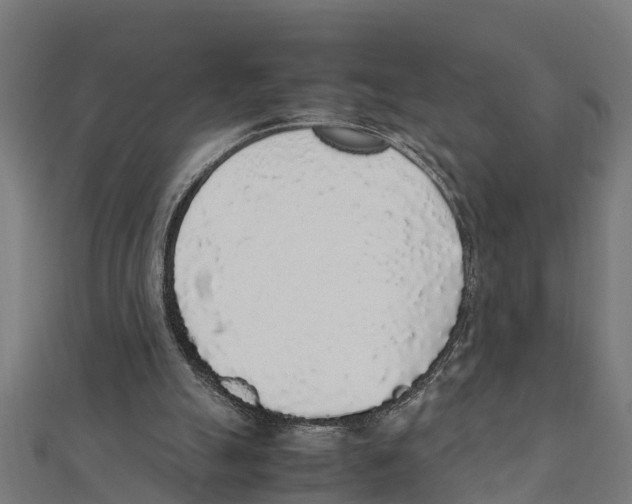 X0000111250055200907301335