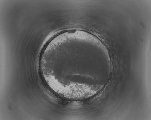 X0000111250056200907301335