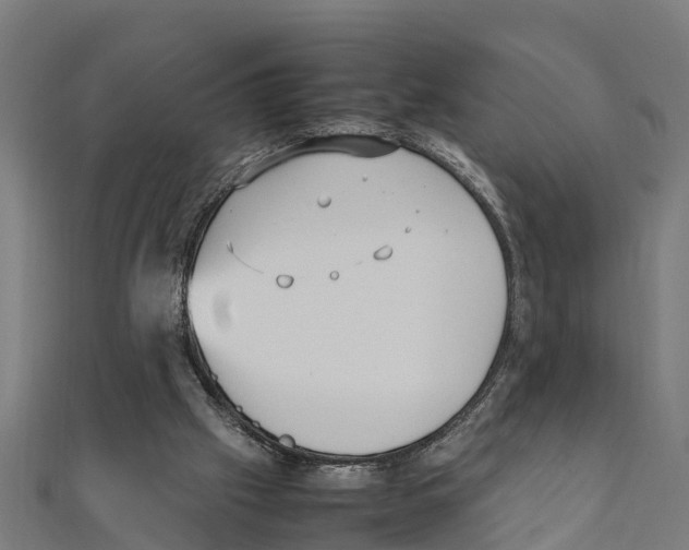 X0000111250057200907301335