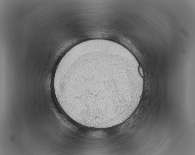 X0000111250058200907301335