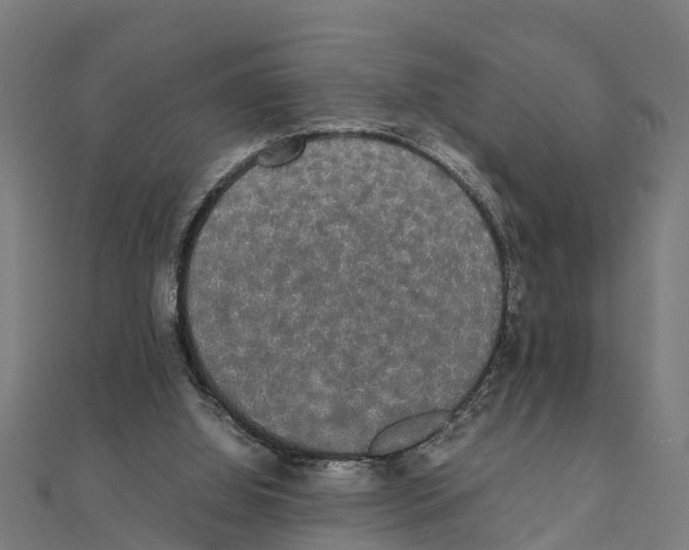 X0000111250060200907301335