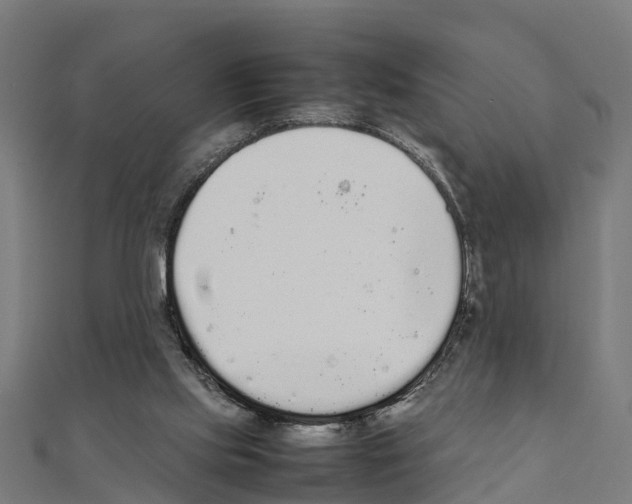 X0000111250061200907301335