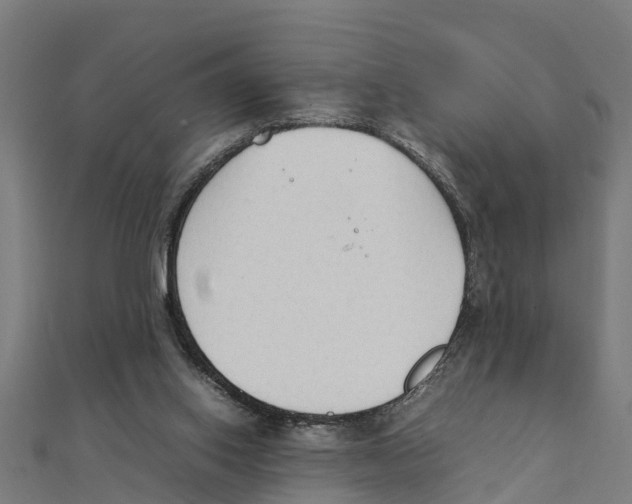 X0000111250062200907301335