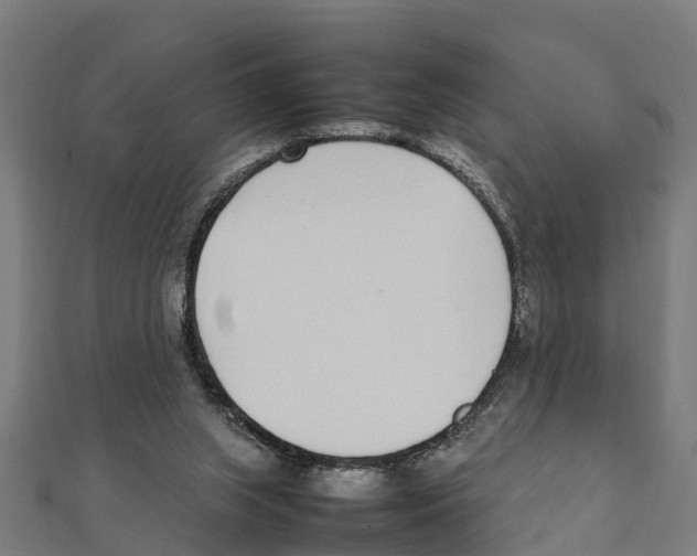 X0000111250063200907301335