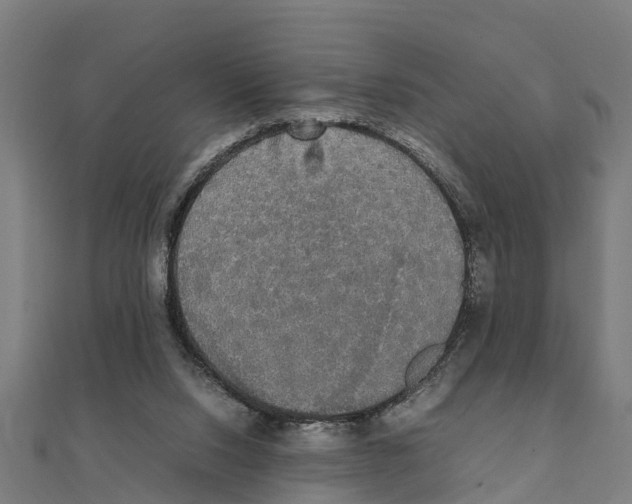 X0000111250064200907301335