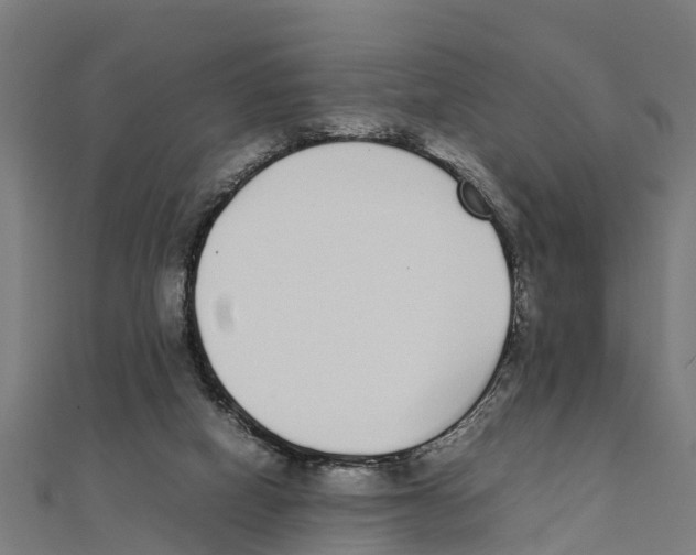 X0000111250066200907301335