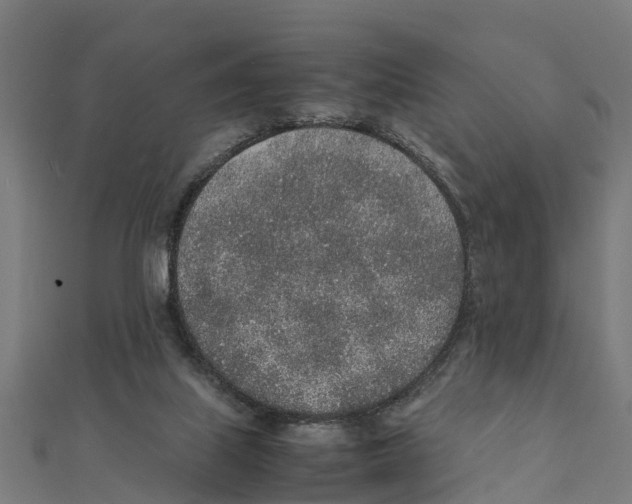 X0000111250067200907301335