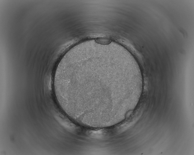 X0000111250068200907301335