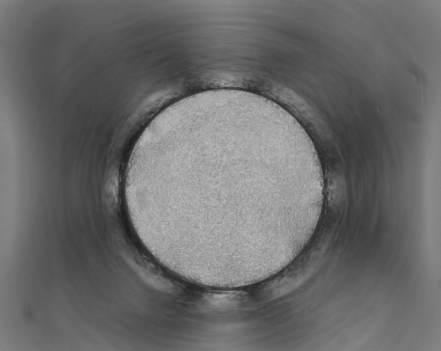 X0000111250072200907301335