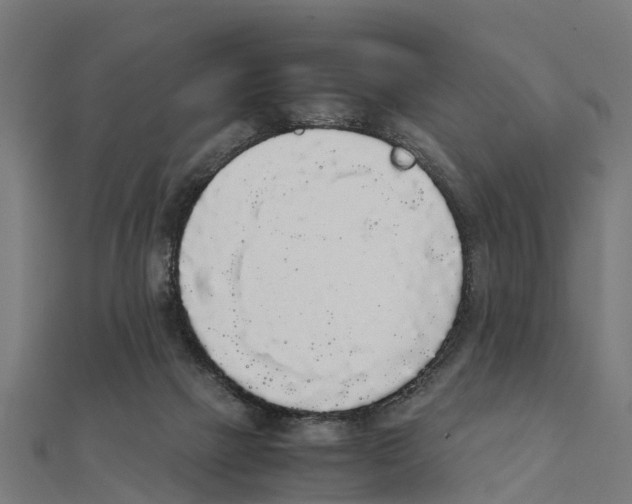 X0000111250073200907301335