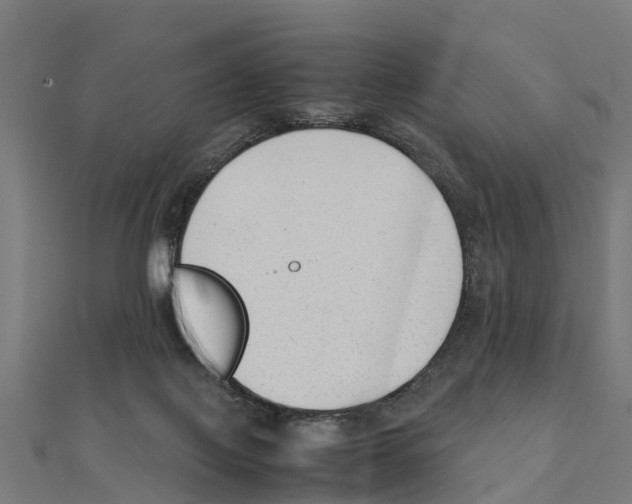 X0000111250075200907301335