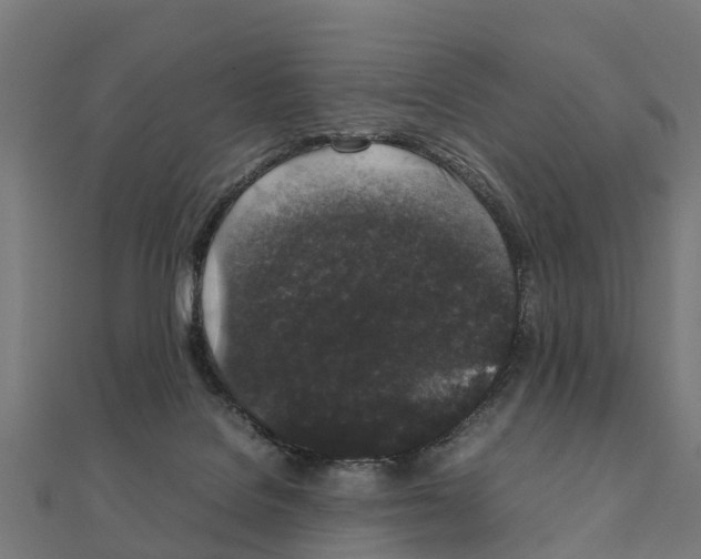 X0000111250076200907301335