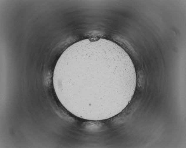 X0000111250077200907301335