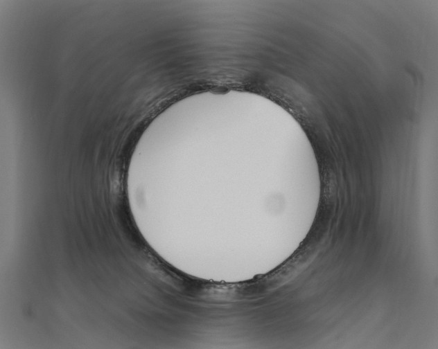 X0000111250084200907301336