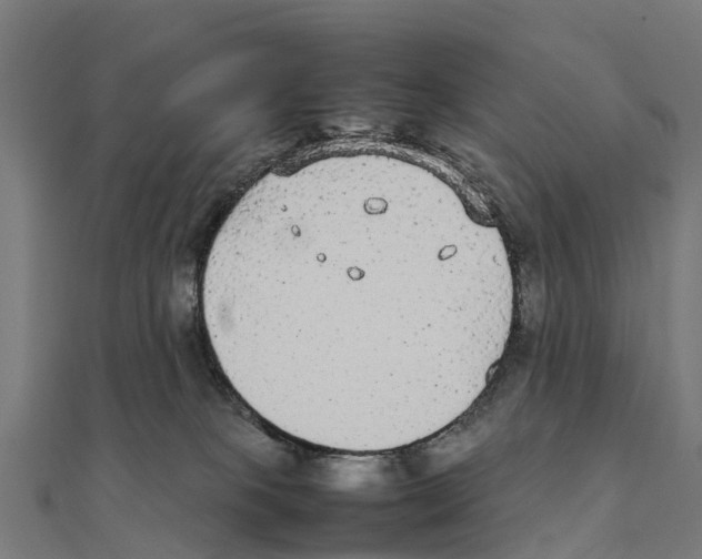 X0000111250085200907301336