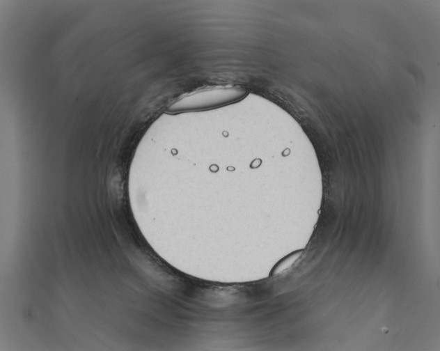 X0000111250086200907301336