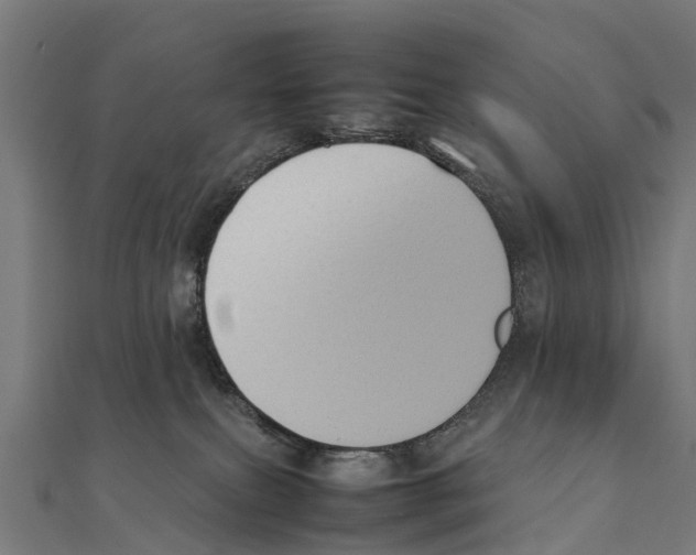 X0000111250087200907301336