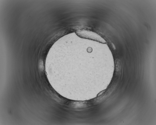 X0000111250089200907301336