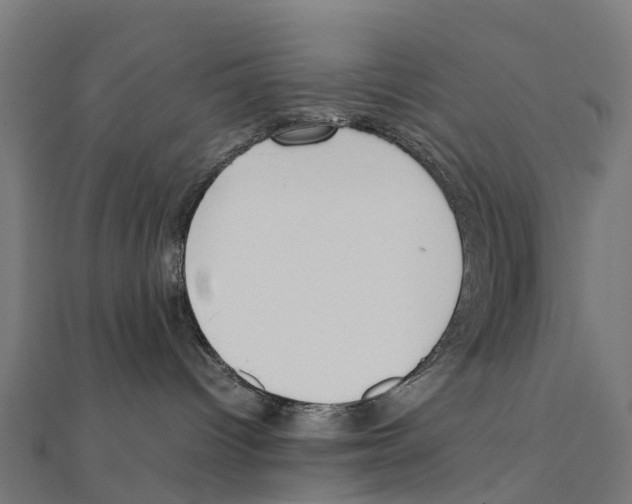 X0000111250096200907301336