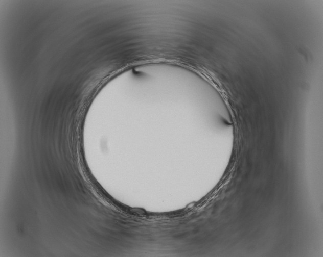 X0000111250097200907301335