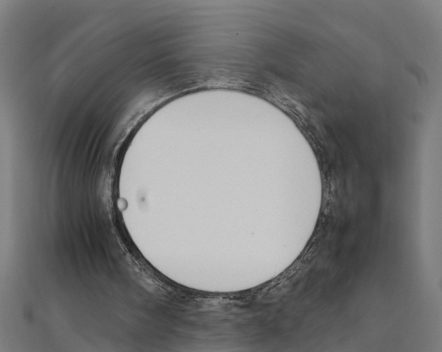 X0000111250098200907301335