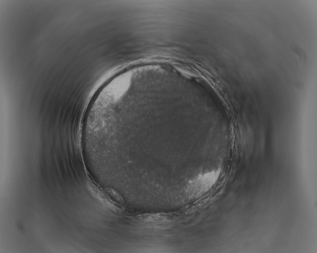 X0000111250100200907301335