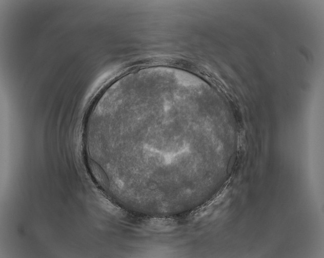 X0000111250101200907301335