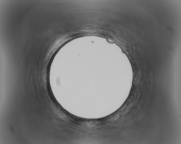 X0000111250103200907301335