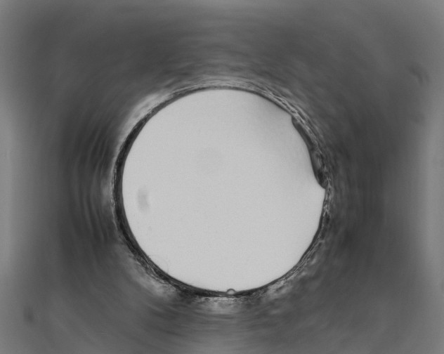 X0000111250104200907301335