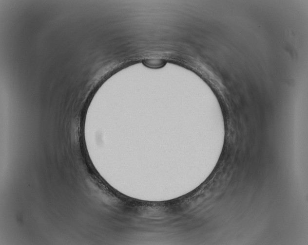 X0000111250107200907301335