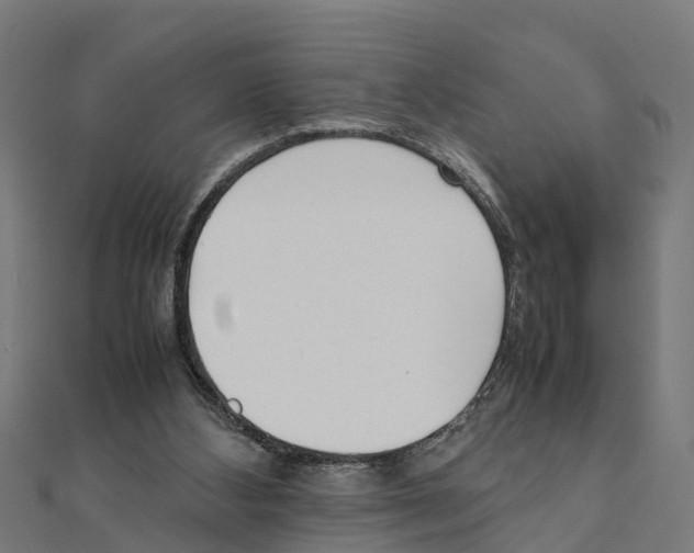 X0000111250108200907301335