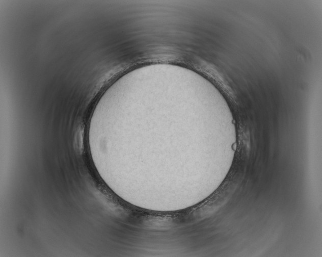 X0000111250110200907301335