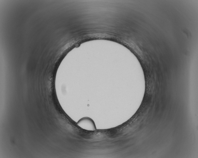 X0000111250111200907301335