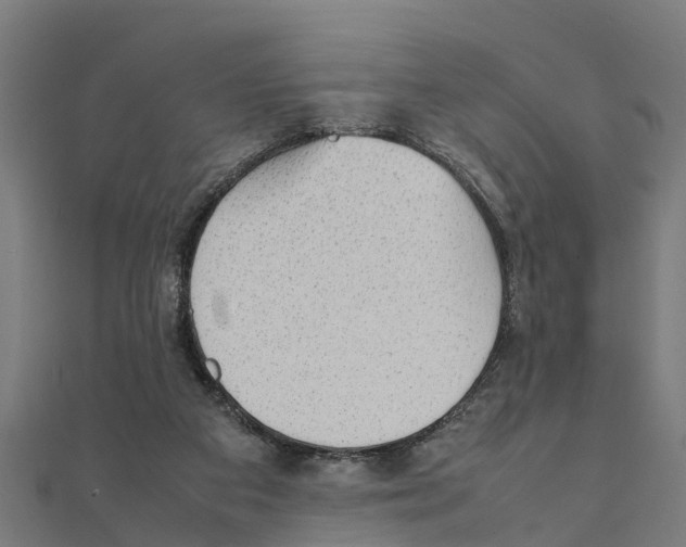 X0000111250113200907301335