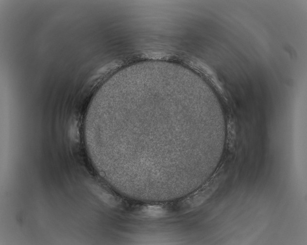 X0000111250114200907301335