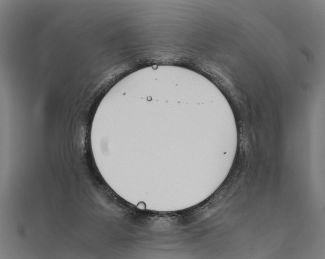 X0000111250115200907301335