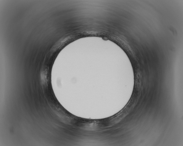 X0000111250116200907301335