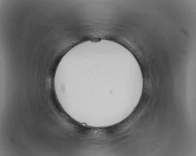 X0000111250117200907301335