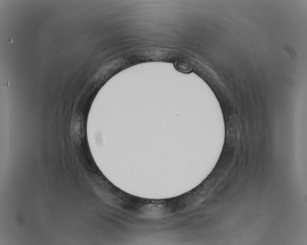 X0000111250119200907301335