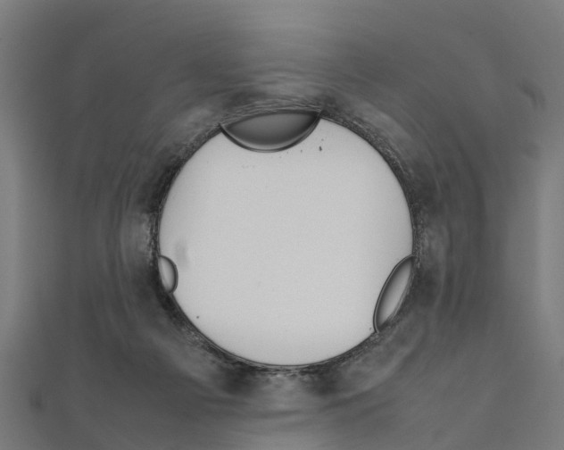 X0000111250121200907301335