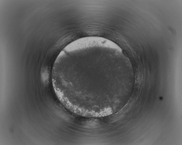 X0000111250124200907301335