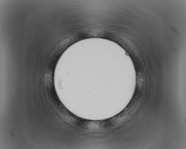 X0000111250127200907301335