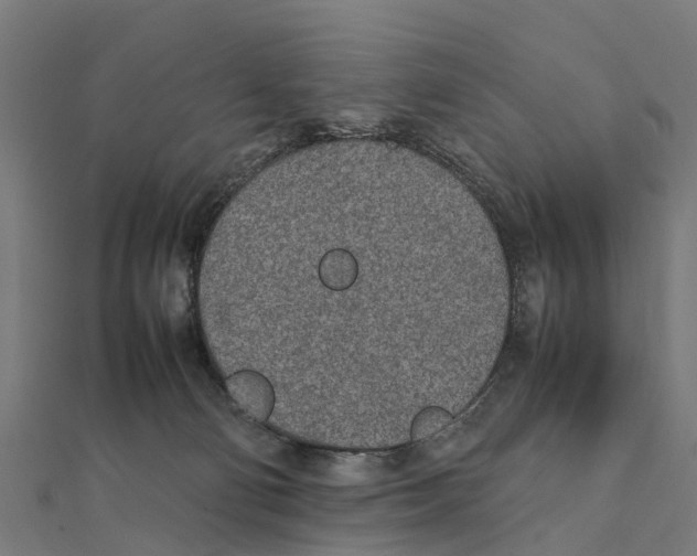 X0000111250130200907301334