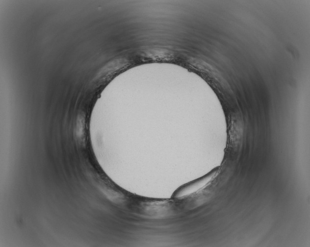 X0000111250132200907301334