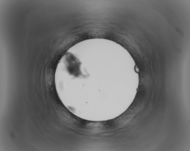 X0000111250133200907301334