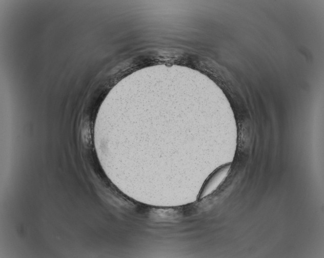 X0000111250137200907301334