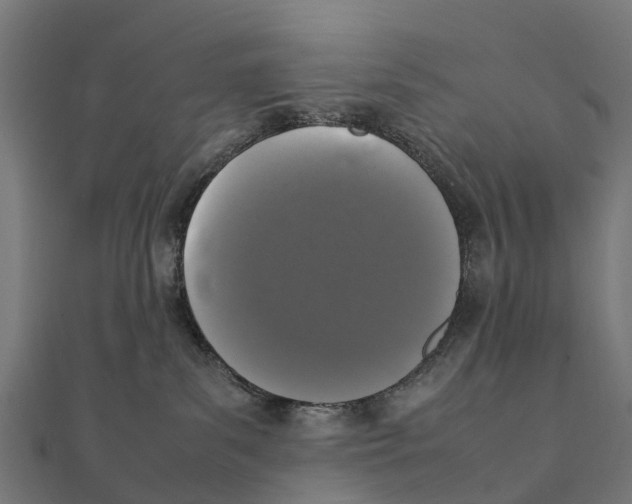 X0000111250139200907301334