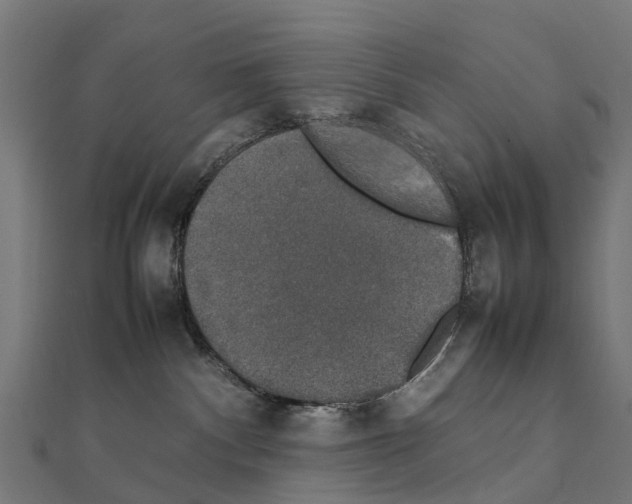 X0000111250140200907301334