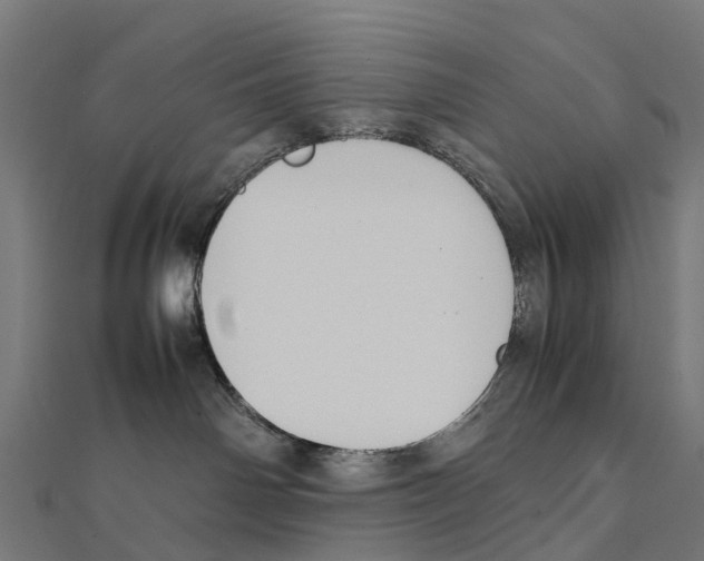 X0000111250142200907301334