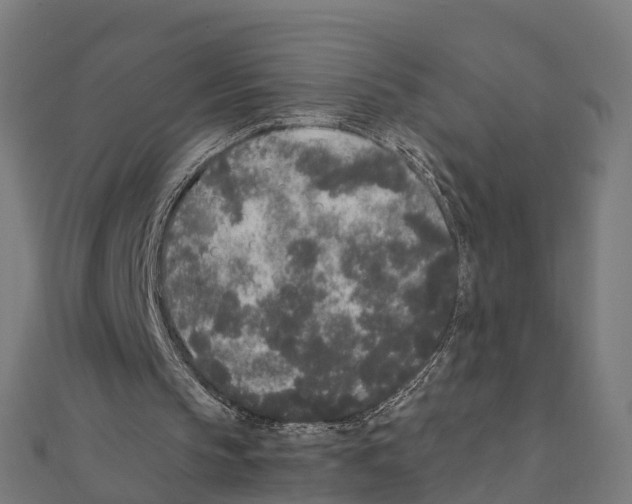 X0000111250145200907301334